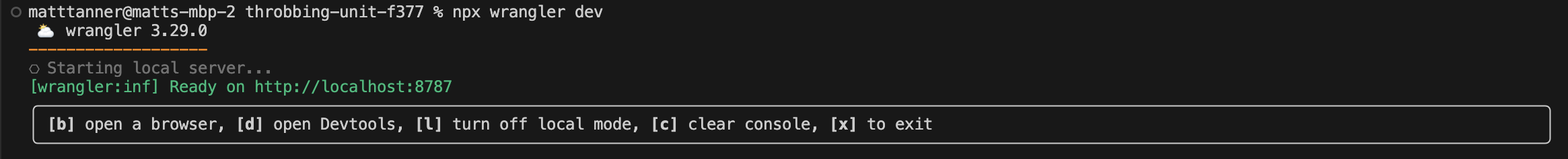 Output of worker running on local machine